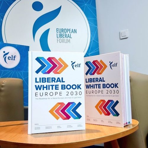 Liberal White Book: Europe 2030