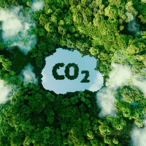 Turning CO2 into a resource - Ellias Rossel
