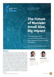 [Policy Paper 22] The Future of Nuclear Small Size, Big Impact